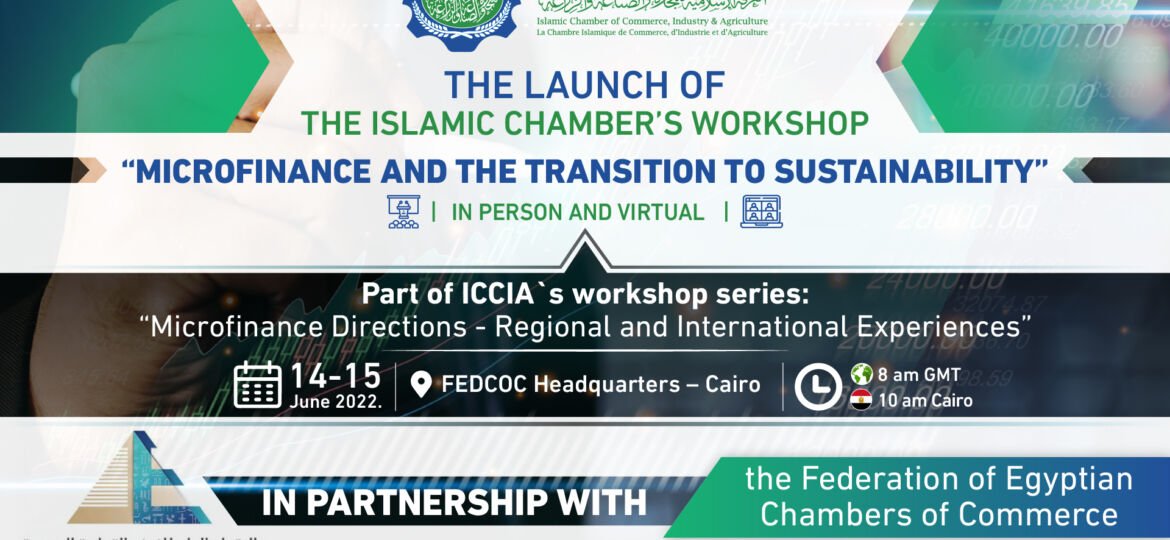 Microfinance-and-the-Transition-to-Sustainability-02