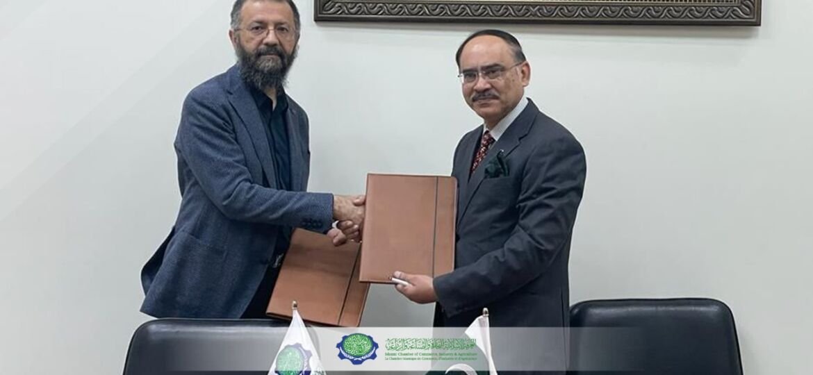 WhatsApp Image 2022-05-18 at 2.47.06 AM