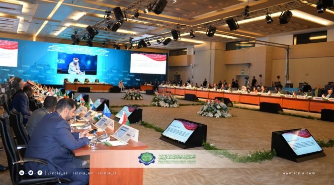 ICCD Director of International Relations participated in the senior ...