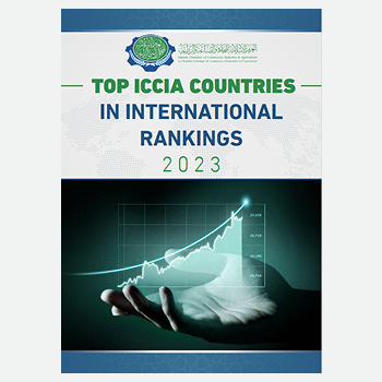 Top OIC Countries in the International Rankings 23