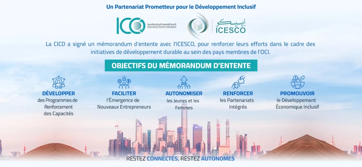 FR-website-A-Promising-Partnership-for-Inclusive-Development (1)